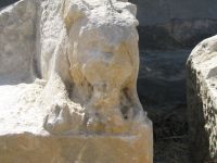 Tigro atvaizdas išraižytas akmenyje amfiteatre Myra